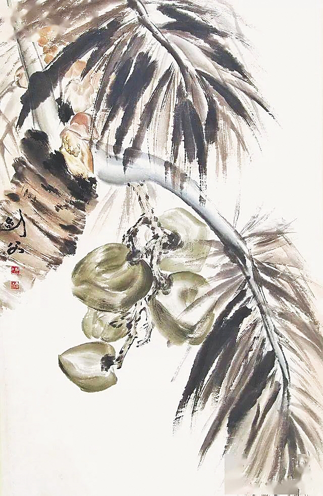 海南反季节蔬菜种植_海南农产品反季节优势_海南反季节蔬菜的区位因素