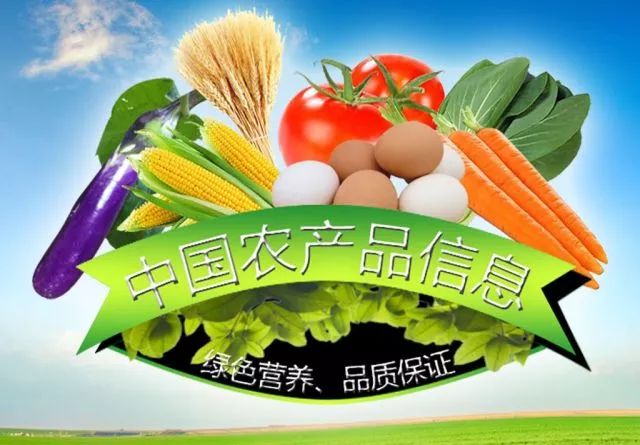 品牌农业建设_农行品牌建设_农产品品牌建设