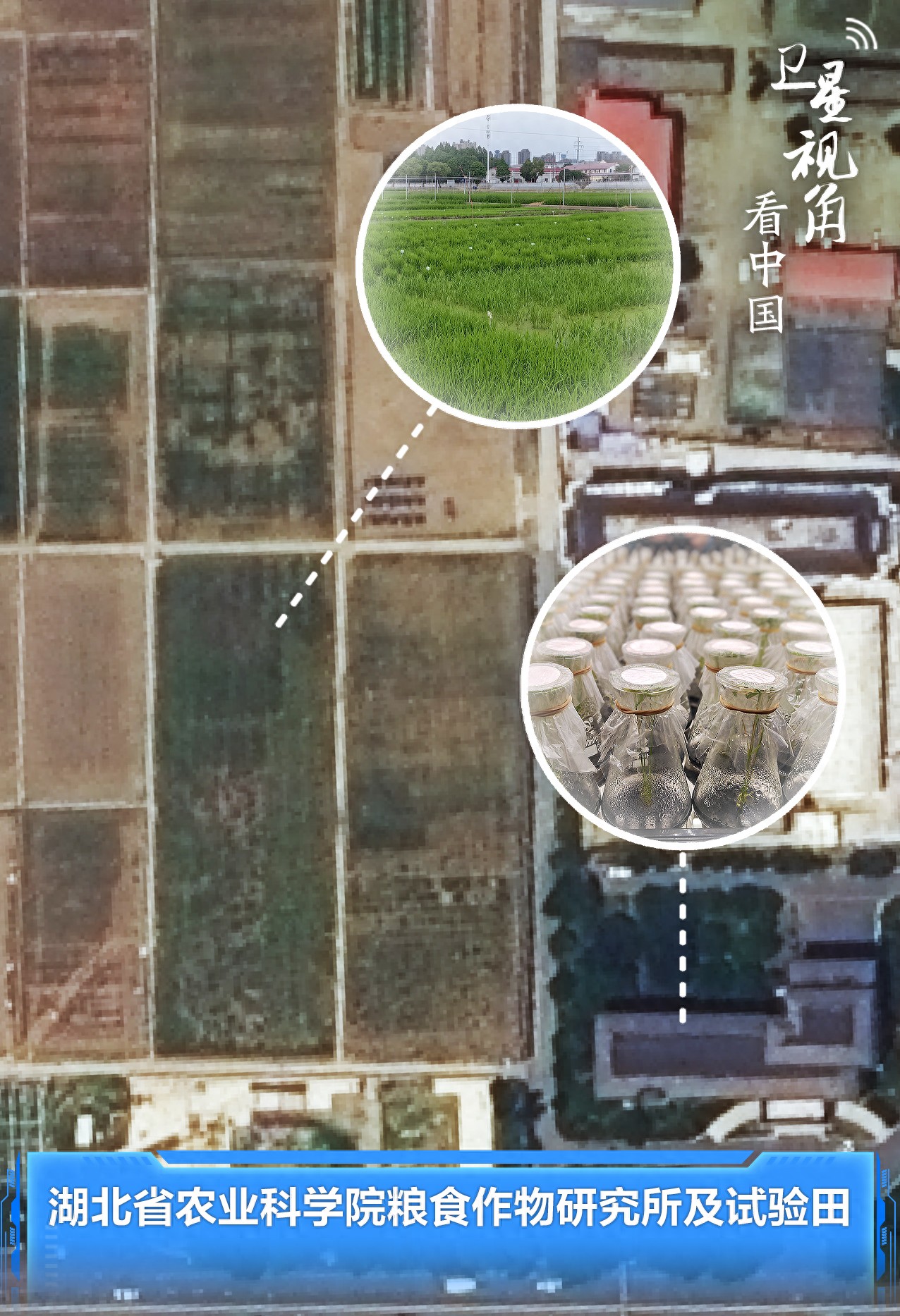 中部6省粮食生产基地揭秘：良种良法良机良田深度融合，农业产业链延伸助力丰收