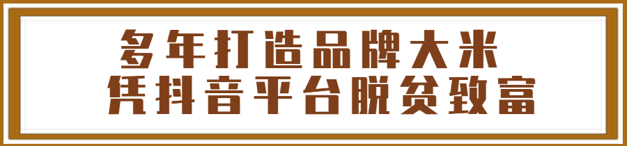 同江大米背后的东北故事：魏树泉如何打造优质大米品牌并走红抖音