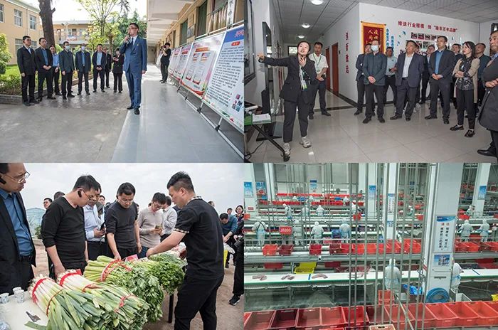 农产品质量安全监管工作总结_农产品质量安全监管工作总结_农产品质量安全监管工作计划
