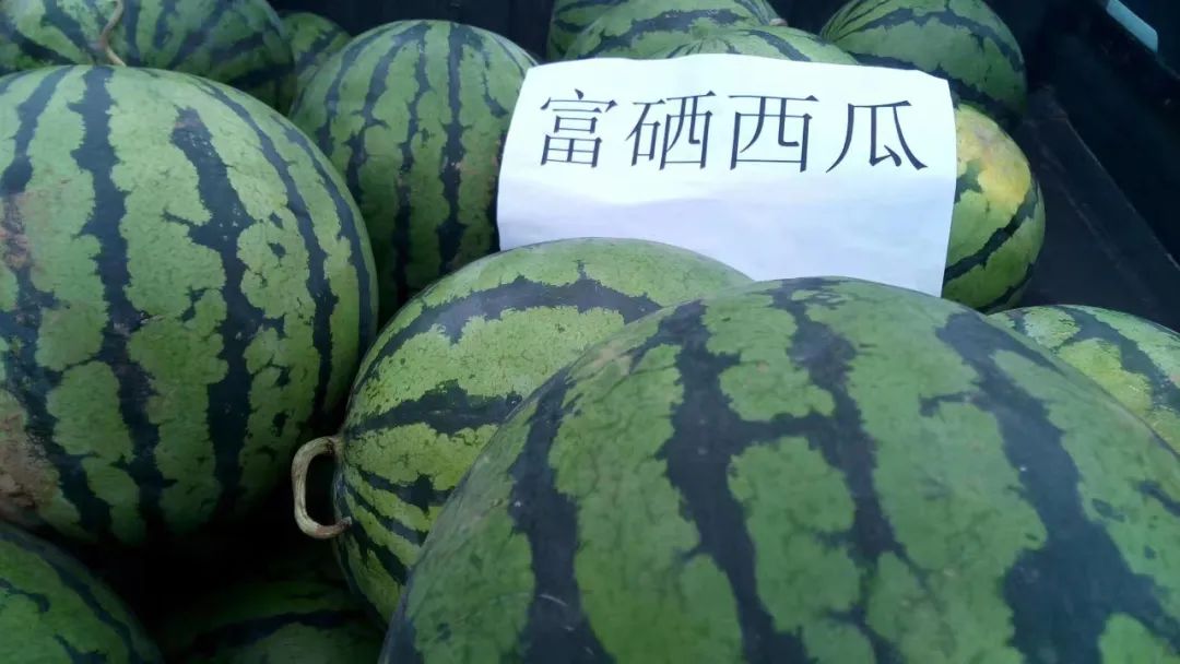 国家富硒农产品标准_富硒农产品+标准_富硒农产品硒含量标准