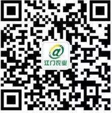 农产品质量安全监管工作总结_农产品质量安全监管工作计划_农产品质量安全监管工作总结
