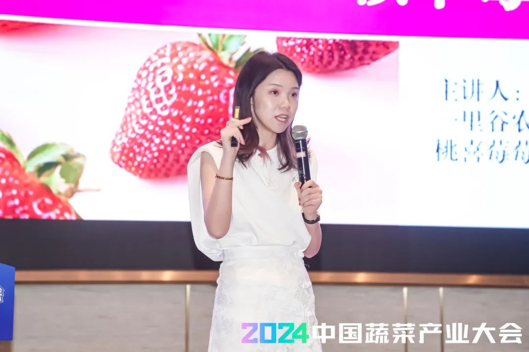 农产品品牌建设方案_农产品流程图_农产品品牌建设流程