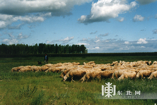 黑龙江农产品集散地_黑龙江农产品批发市场_黑龙江农副产品交易市场