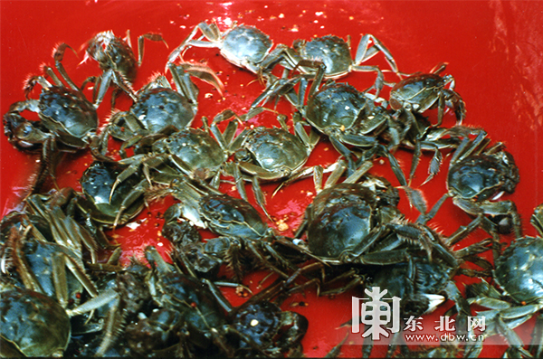 黑龙江农产品集散地_黑龙江农副产品交易市场_黑龙江农产品批发市场