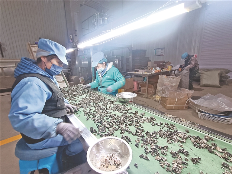 黑龙江农产品集散地_黑龙江农副产品交易市场_黑龙江农产品交易中心