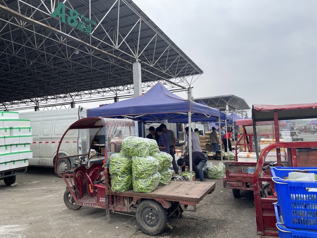 绿色通行农产品_农业绿色通道_农产品绿色通道