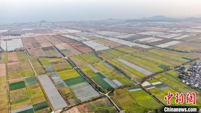 珠海农批市场在哪里_珠海农贸市场批发_珠海农产品批发市场