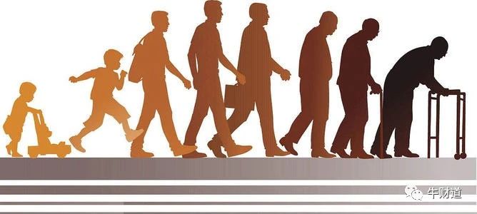 人民币升值的农产品进口效应研究_货币升值对进口有利_货币升值的经济效应包括