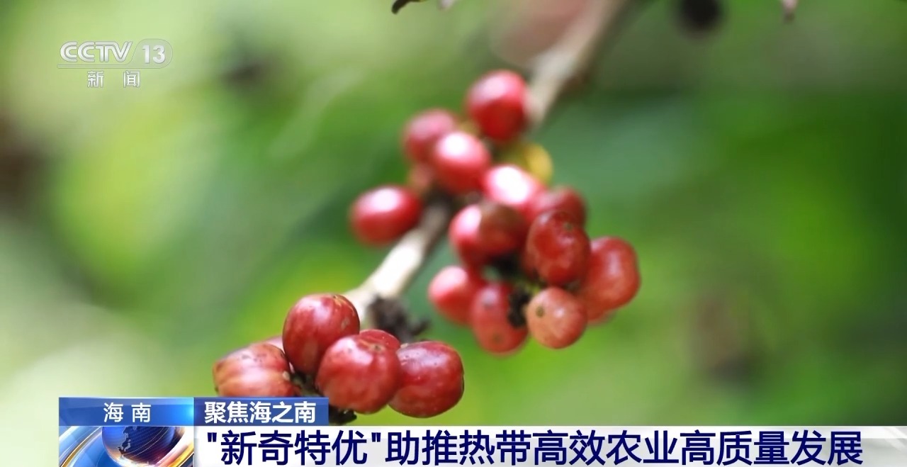 可以种植的特色农产品_农产品种植项目_农业特色种植项目