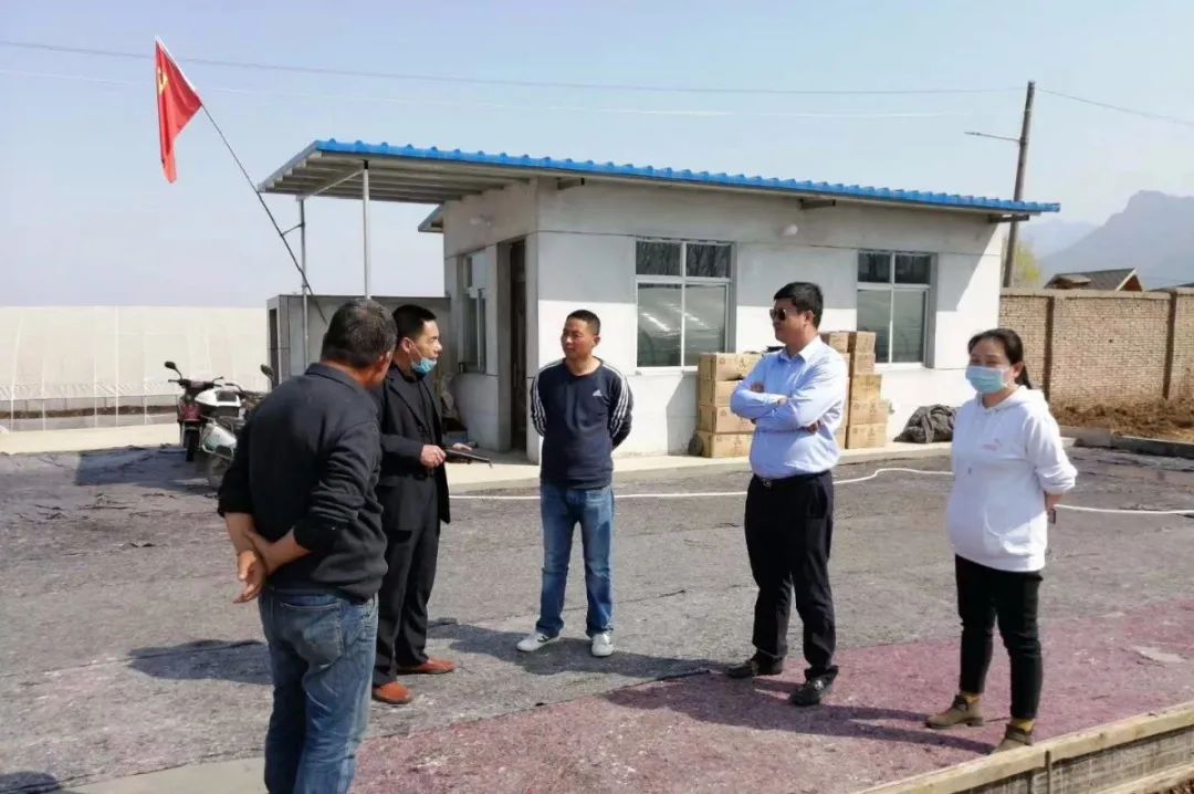 南京珍维心农产品服务有限公司_福建珍维医药科技有限公司_珍佰农农村电商平台