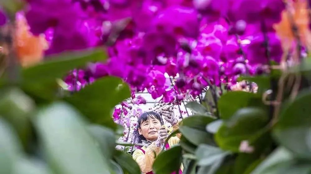 福建珍维医药科技有限公司_南京珍维心农产品服务有限公司_珍佰农农村电商平台
