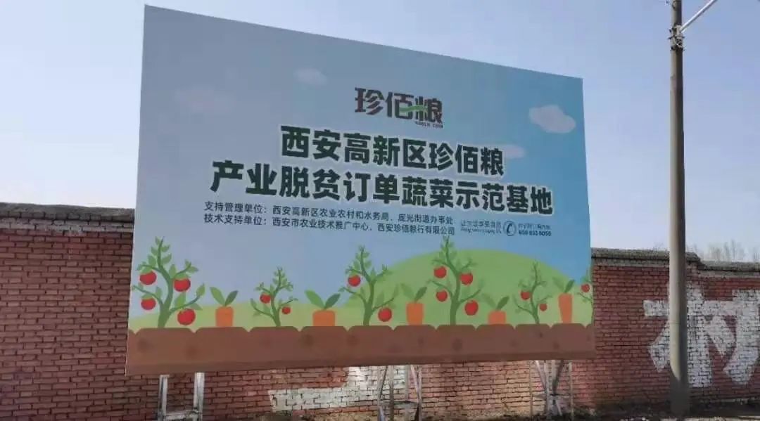 珍佰农农村电商平台_福建珍维医药科技有限公司_南京珍维心农产品服务有限公司