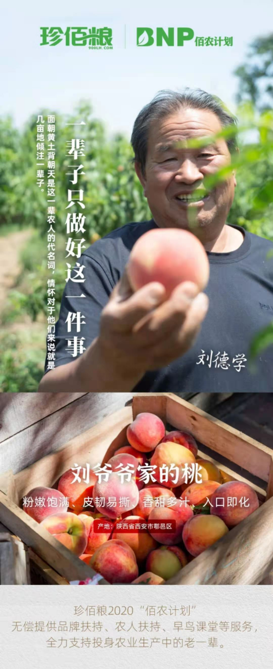 南京珍维心农产品服务有限公司_珍佰农农村电商平台_福建珍维医药科技有限公司