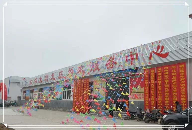 山东省供销社农资公司_山东省供销社农产品有限公司_山东省供销社农业服务公司