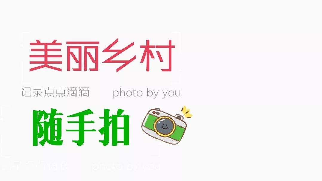 山东省供销社农业服务公司_山东省供销社农产品有限公司_山东省供销社农资公司
