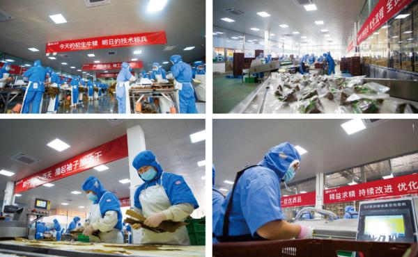 农产品初步加工_农产品初加工行业_农产品初加工范围
