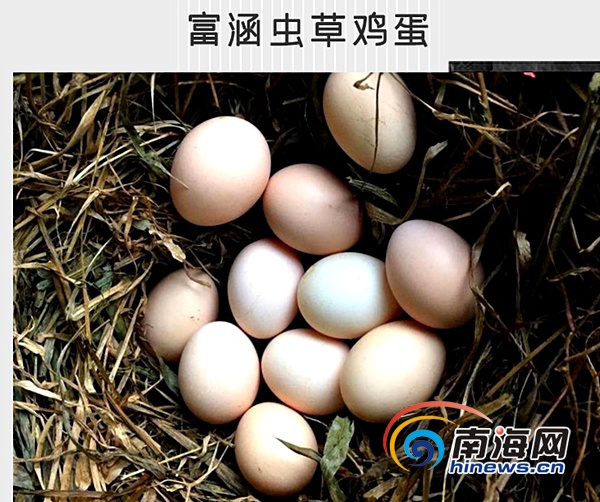 无公害农产品认证要求_无公害农产品认证食品_无公害农产品认证机构