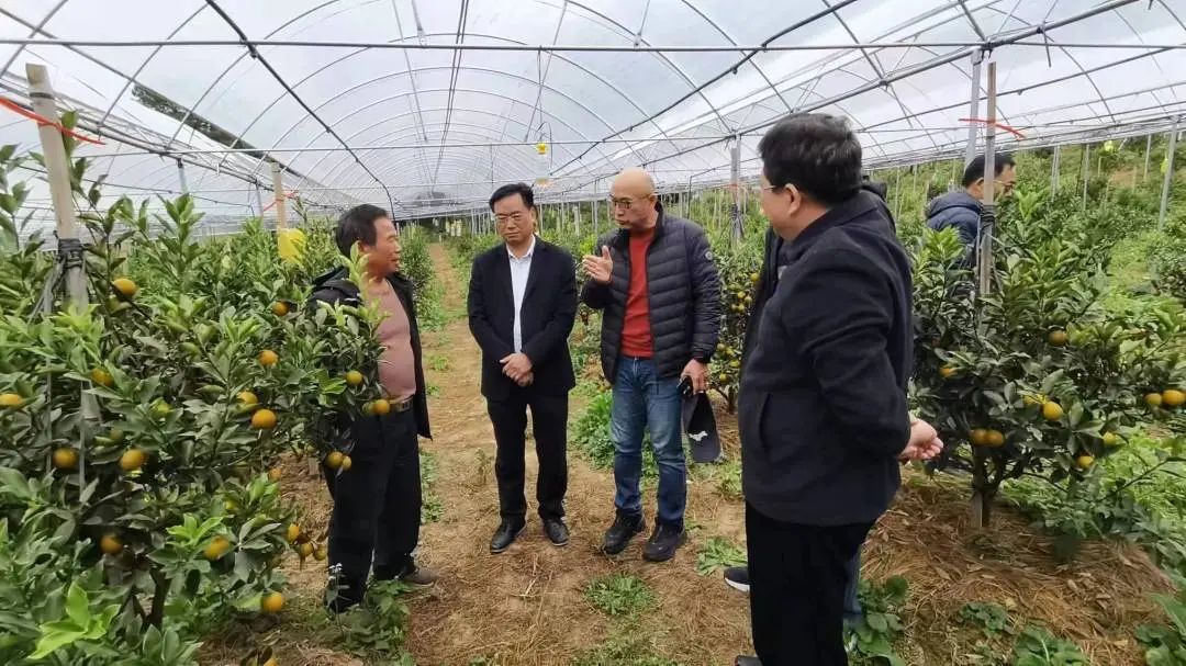 广西富硒食品_广西富硒农产品协会地址_广西富硒协会官网