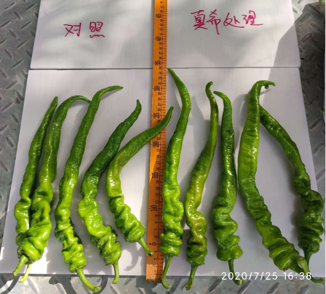 广西富硒协会官网_广西富硒食品_广西富硒农产品协会地址
