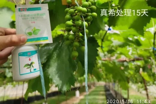 广西富硒农产品协会地址_广西富硒协会官网_广西富硒食品