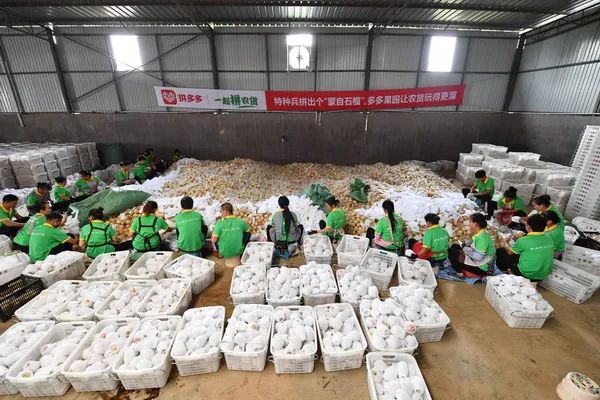 土特产农产品电子商务_特产商务农土电子产品有哪些_特产商务农土电子产品包括哪些