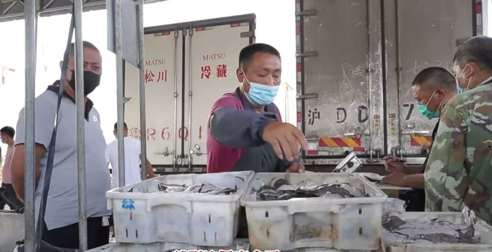 农产品批发市场_批发农市场产品有哪些_农产品批发市场里搞什么赚钱
