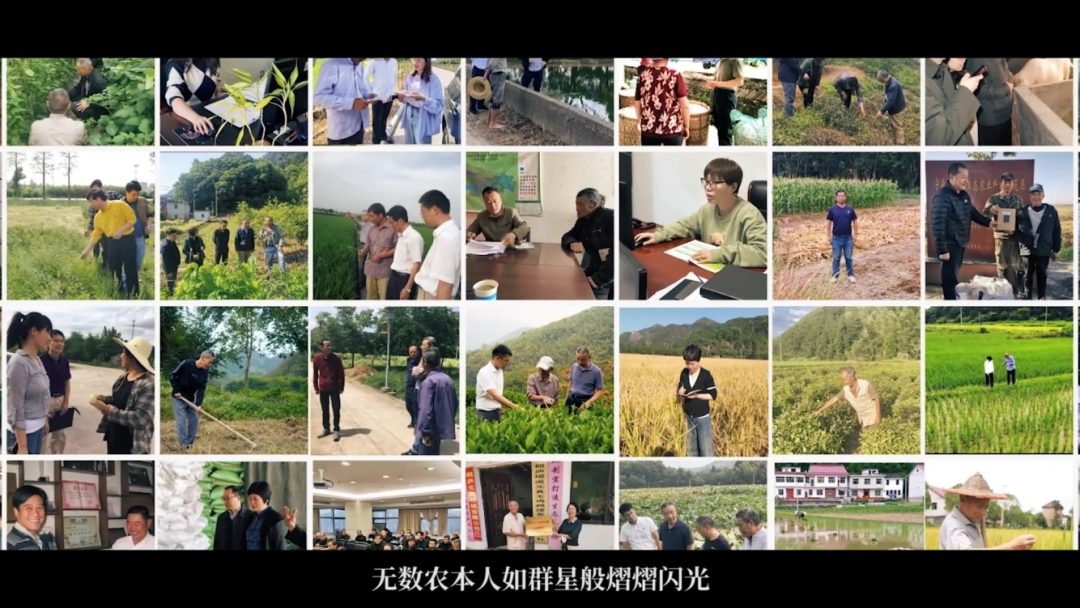 农产品的调查问卷_农产品问卷调查结果分析_农产品的问卷调查