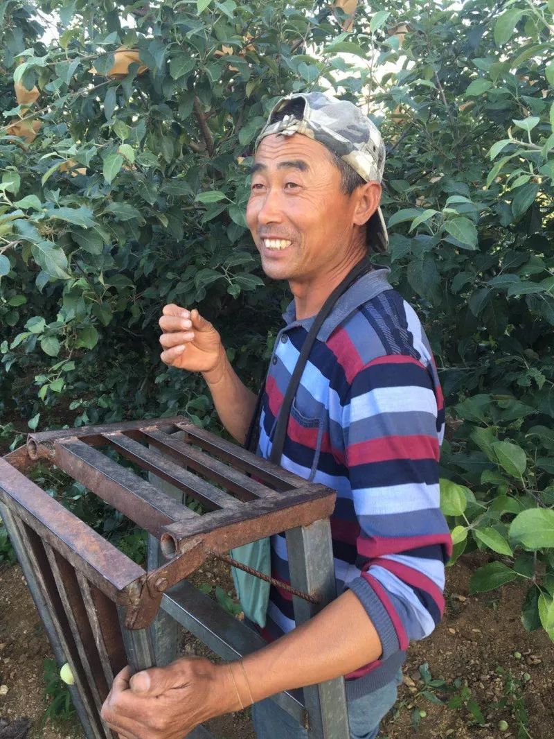 现货农产品交割流程_农产现货交易_现货市场交割期