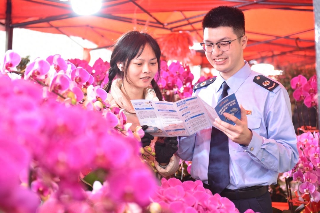 2025乙巳蛇年广州春节：非遗年味与税务服务共添彩