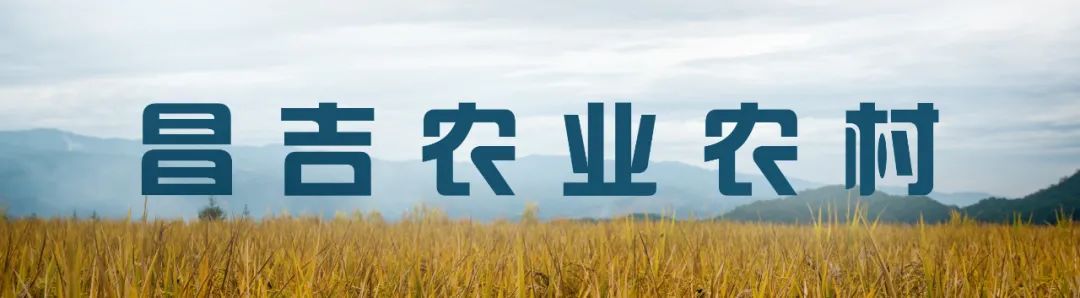 昌吉州农产品检测中心党员干部抗疫：无惧风险，担当奉献
