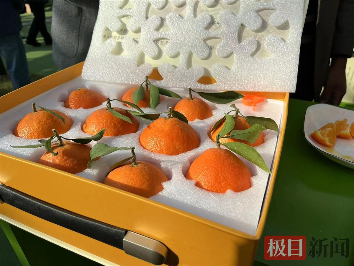 农特色产品品尝_什么特色农产品_农村特色农产品