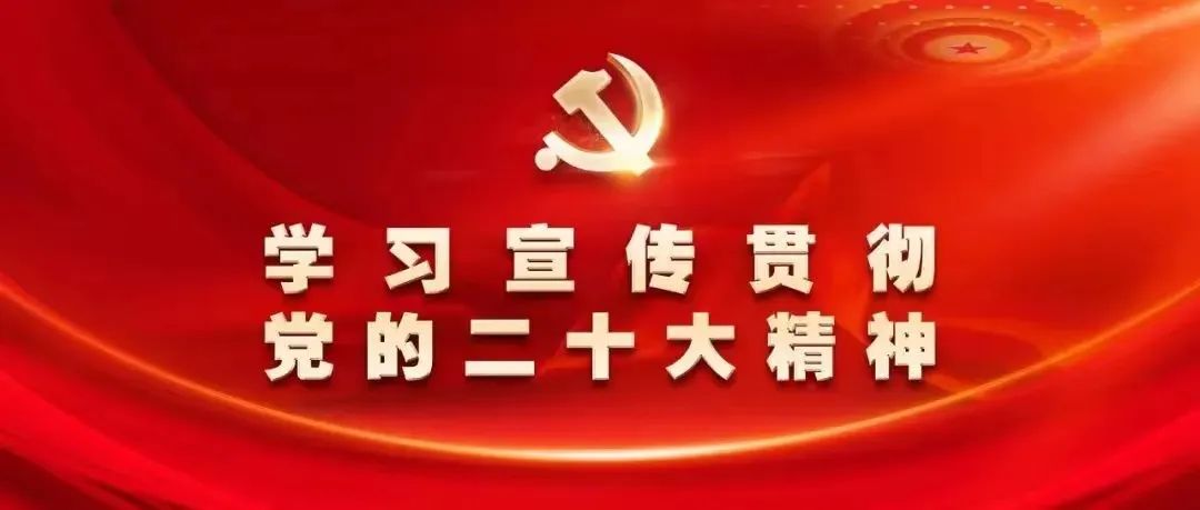 合肥周谷堆农批市场：监管局副局长实地调研的详情