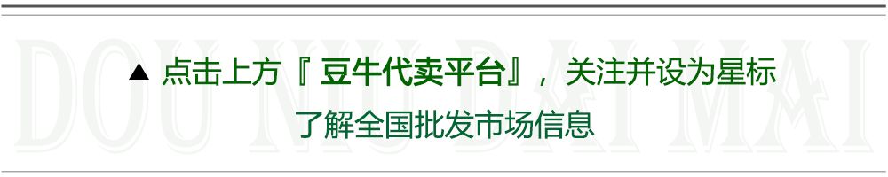 蔬菜批发网 最大的线上农产品_蔬菜网上批发平台_批发蔬菜农线网产品大全及价格