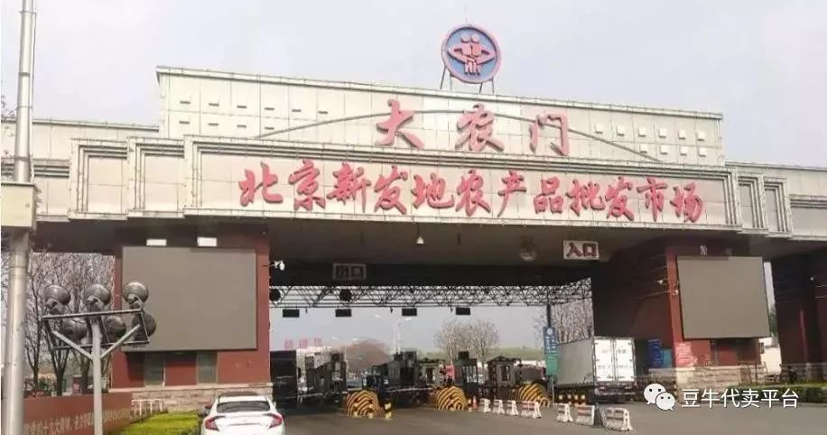 蔬菜批发网 最大的线上农产品_批发蔬菜农线网产品大全及价格_蔬菜网上批发平台