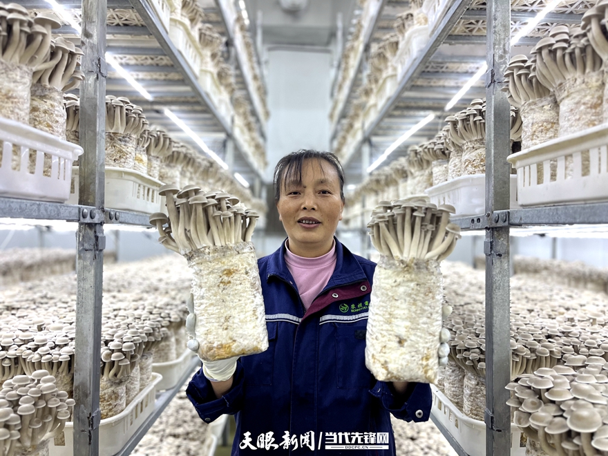 贵州西部农产品_贵州农产品基地_贵州西部农资有限公司