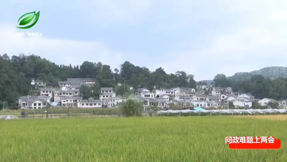 贵州西部农产品_贵州西部农产品物流园_贵州西部农资有限公司