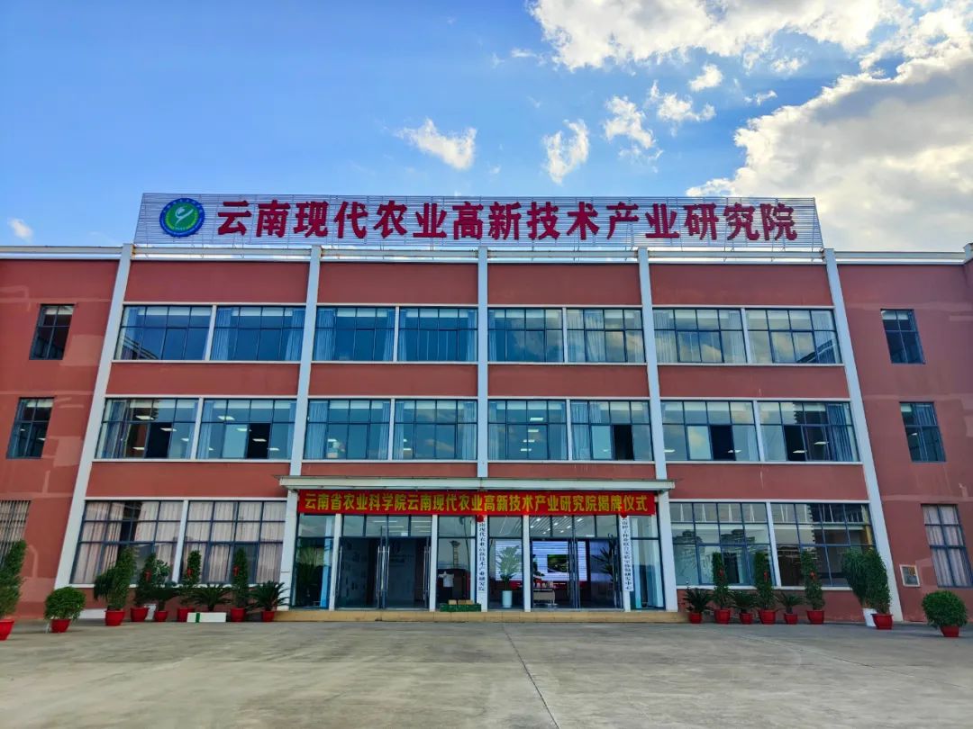 高原特色农业的四张名片_高原特色农业政策解读_高原特色农产品.com