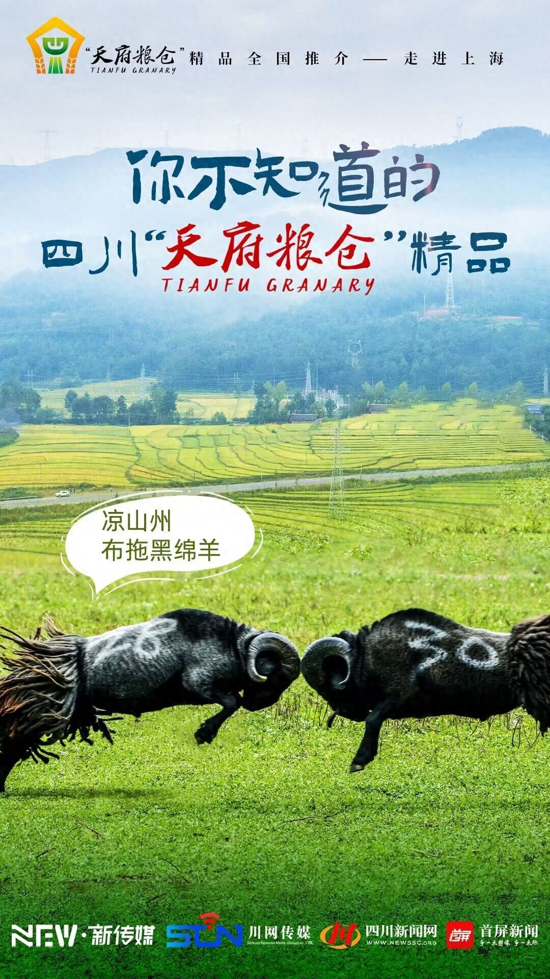 农产品追溯平台怎么完善资料_农产品追溯平台_农产品追溯系统开发