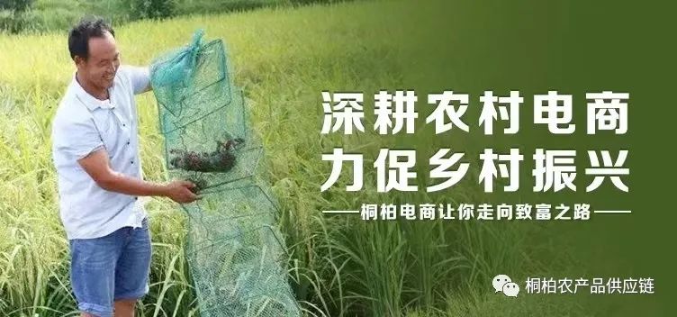 南京特色农业_南京特色农产品_南京特色农作物