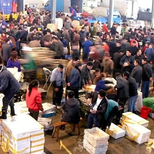 布吉农批市场搬到哪里了_2020布吉农批市场还营业吗_布吉农产品批发市场地址