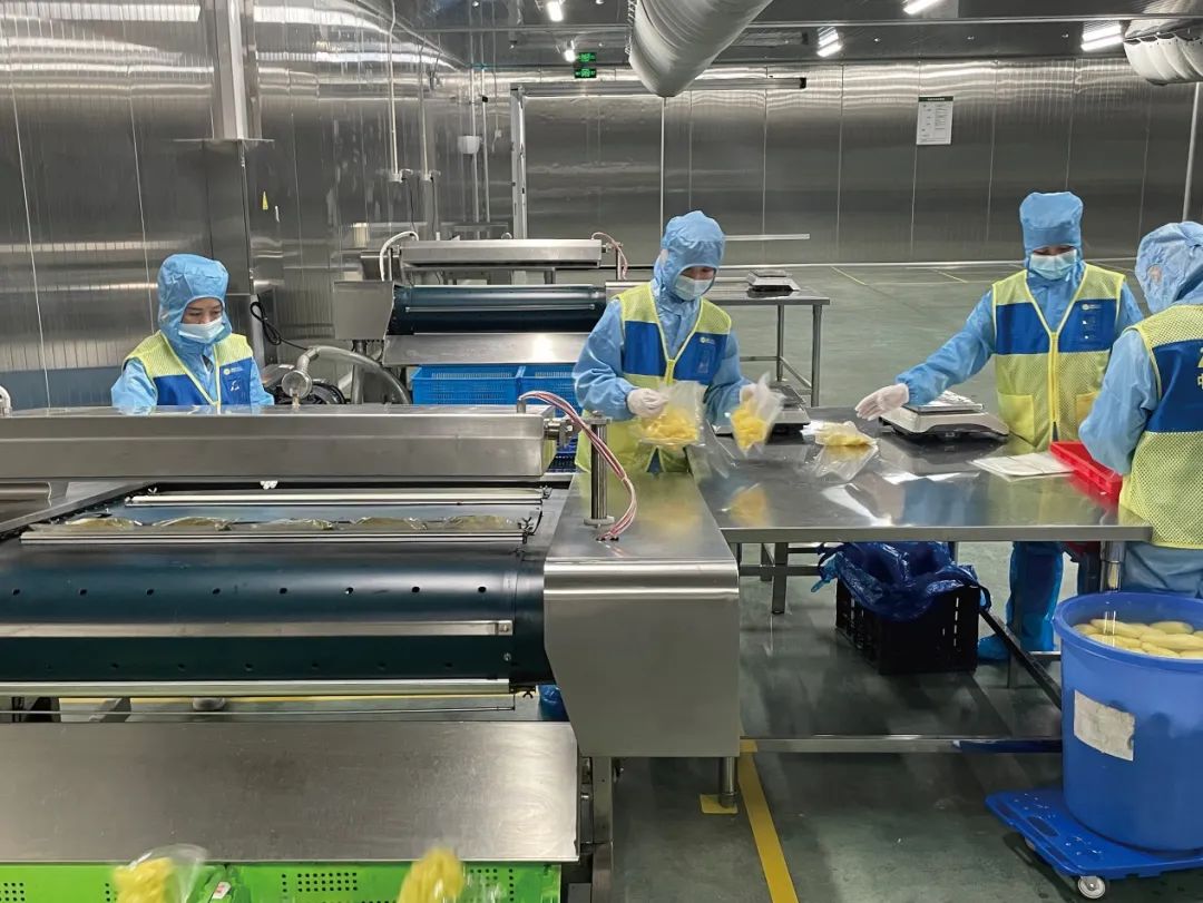 中央九部门联合印发指导意见：推进2025年农村现代流通体系高质量发展