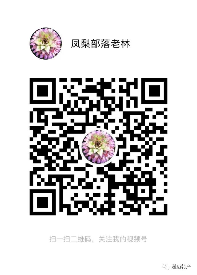 农产品品牌价值_农产品品牌价值评估_价值命名的农产品品牌
