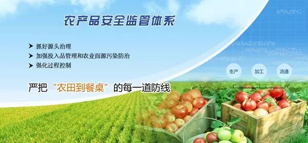 电子商务在农产品销售中的应用_农产品电子商务案例_农产品电子商务方案