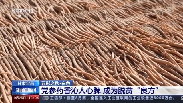国家地理标志农产品有哪些_地理标志农产品的概念_国家地理标志农产品