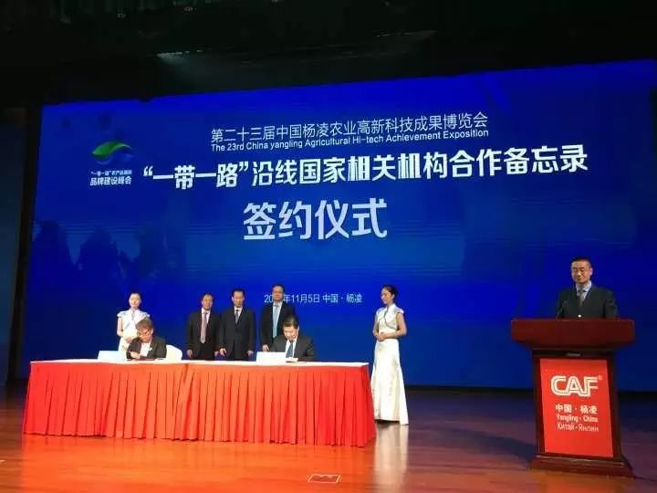 农产品商标需要注册哪一类_注册农业商标需要多少钱_注册农产品商标多少钱