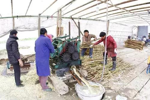 国家农产品地理标志_国家地理标志农产品有哪些_地理标志农产品的概念