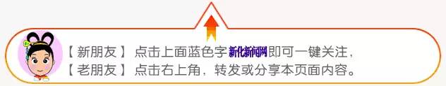 2017中国食品餐饮博览会新化展区精彩亮相，展示餐饮与水酒文化