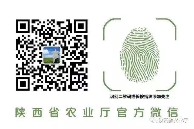 长沙农产品展示会_2020长沙农博会_长沙农博会展中心